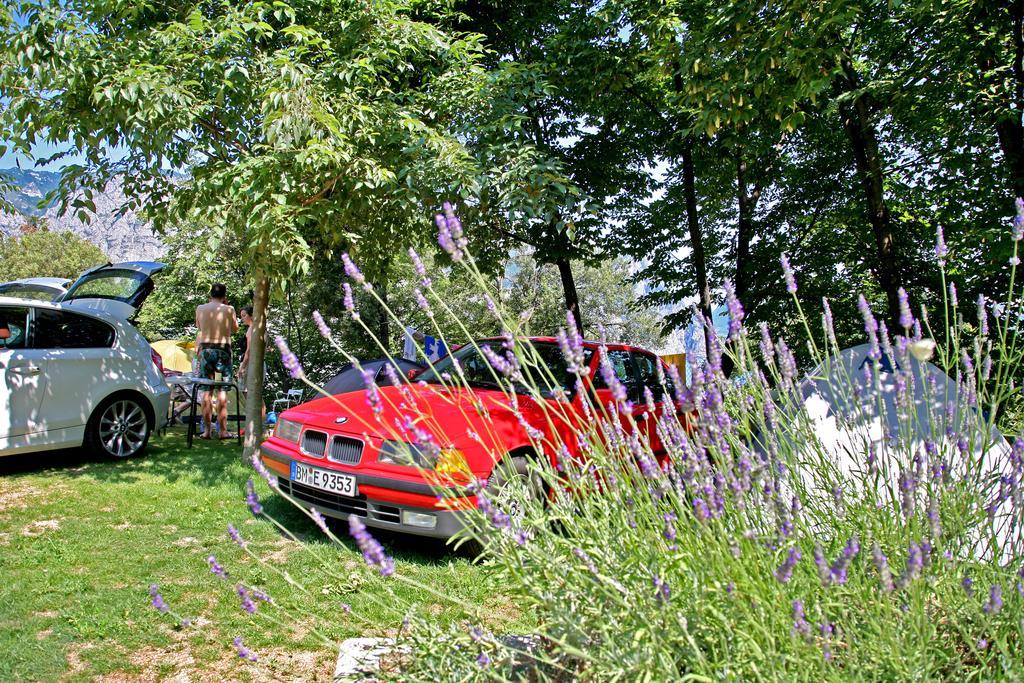 Camping Alpino - Nature Village Мальчезине Экстерьер фото